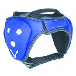 Head Guards