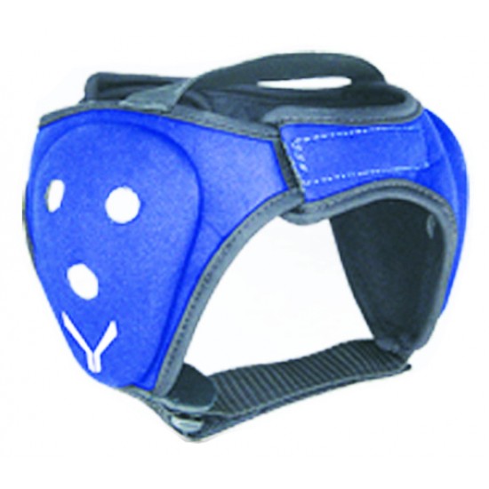 Head Guards