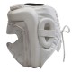 Head Guard With Transparent Face